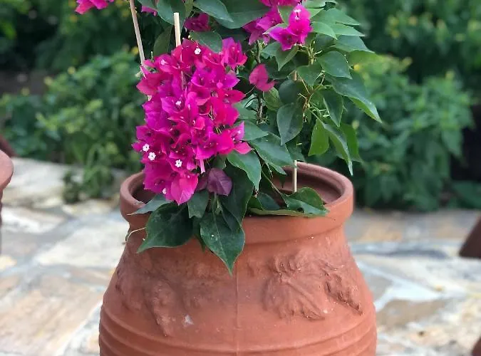 Cycladic Luxury Maisonette *